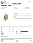 Granddaddy Purple Wholesale