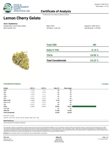 Lemon Cherry Gelato