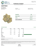 Jack Herer Wholesale