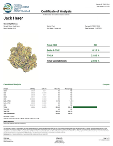 Jack Herer Wholesale