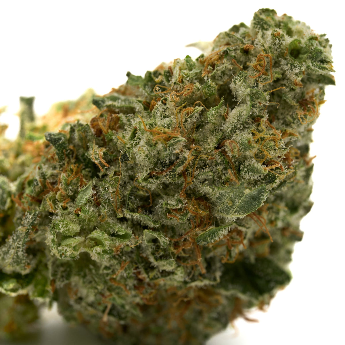 Black Cherry Diamonds Indoor THCa Flower