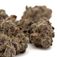 Black Frost Indoor THCa Flower