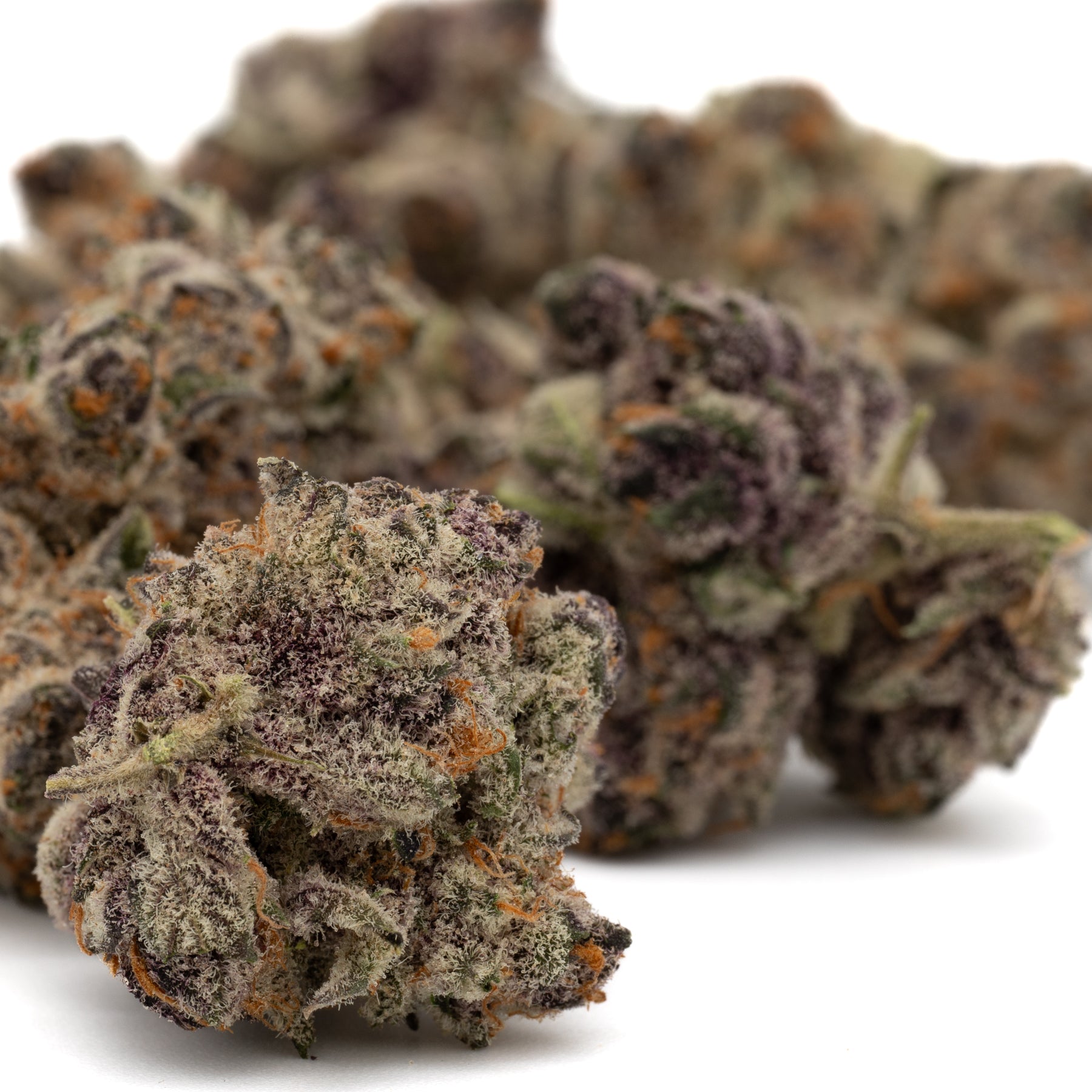 Black Frost Indoor THCa Flower