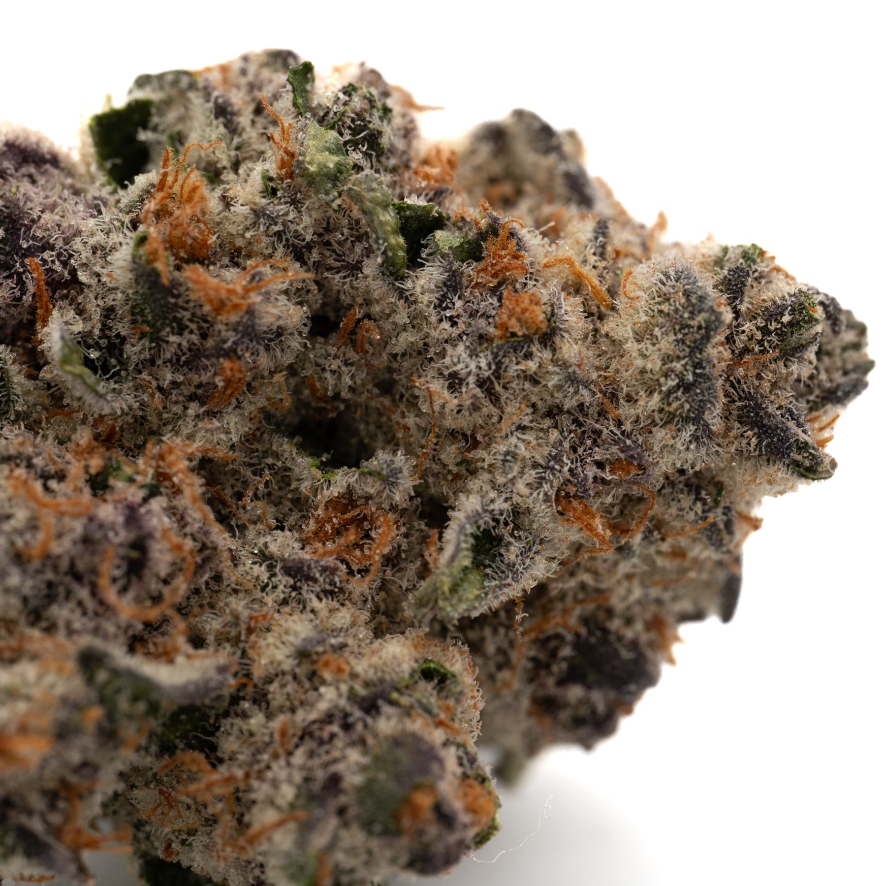 Black Frost Indoor THCa Flower