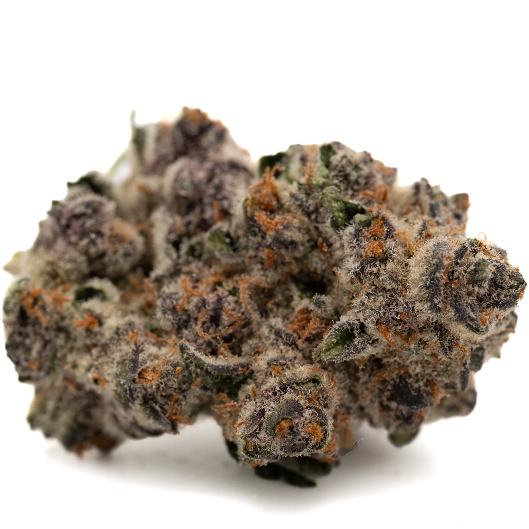 Black Frost Indoor THCa Flower