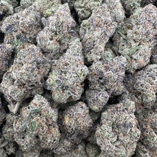 Granddaddy Purple Wholesale