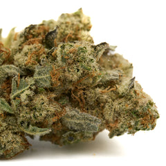 Grizzly Gas Indoor THCa Flower