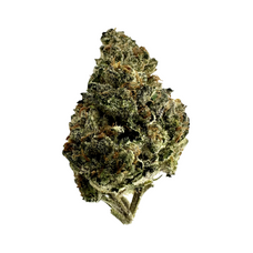 THCA Top Flowers- Icy Pops