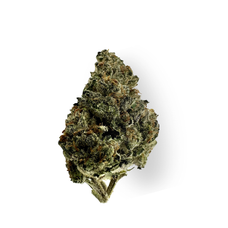 THCA Medium Flowers- Icy Pops