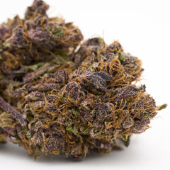 Jimi Hendrix Indoor THCa Flower