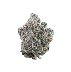 New Biscotti Wholesale