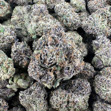 Presidential Runtz Wholesale