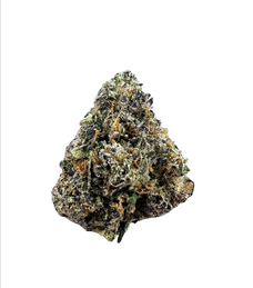 Presidential Runtz Wholesale