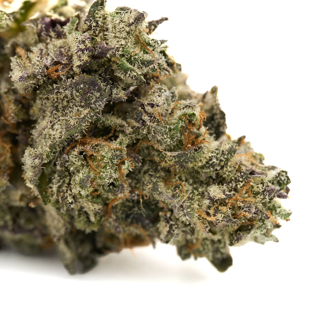 White Truffle Indoor THCa Flower
