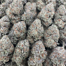 White Widow Wholesale