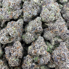 New Purple Push Pop Wholesale