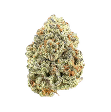 White Widow Wholesale